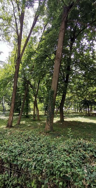 Titan, Parc IOR, Lucretiu Patrascanu, ANAF,